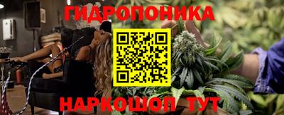 прущие крисы Мариинск