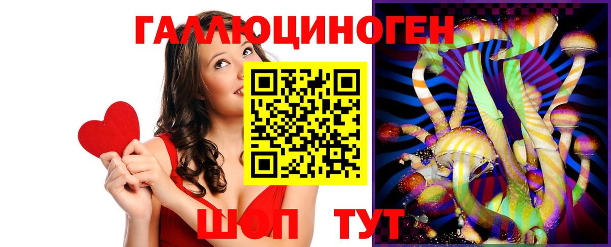 Чистополь  Галлюциногенные грибы Cubensis  Вход с VPN  Псилоцибиновые грибы Psilocybe 